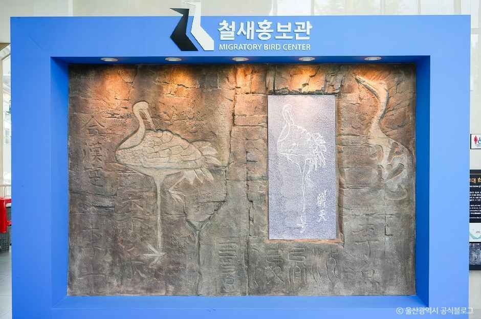 철새홍보관 여행 추천 - 메고지고