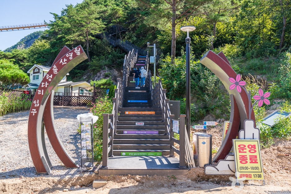월영산 출렁다리 여행 추천 - 메고지고 월영산 출렁다리 여행 추천 - 메고지고