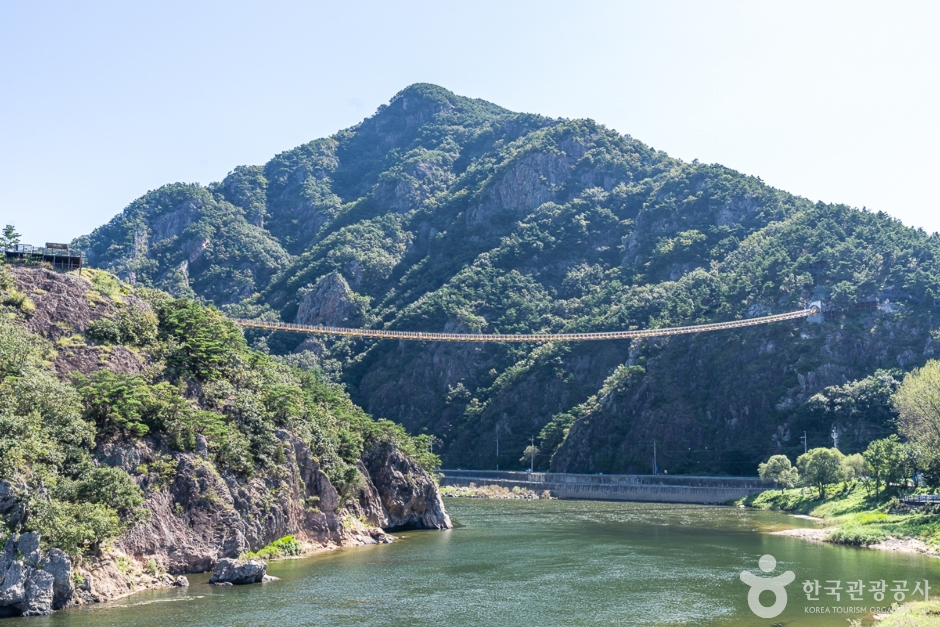 월영산 출렁다리 여행 추천 - 메고지고 월영산 출렁다리 여행 추천 - 메고지고