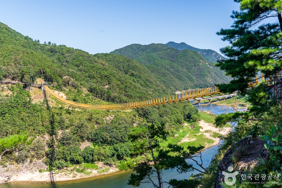 월영산 출렁다리 여행 추천 - 메고지고 월영산 출렁다리 여행 추천 - 메고지고