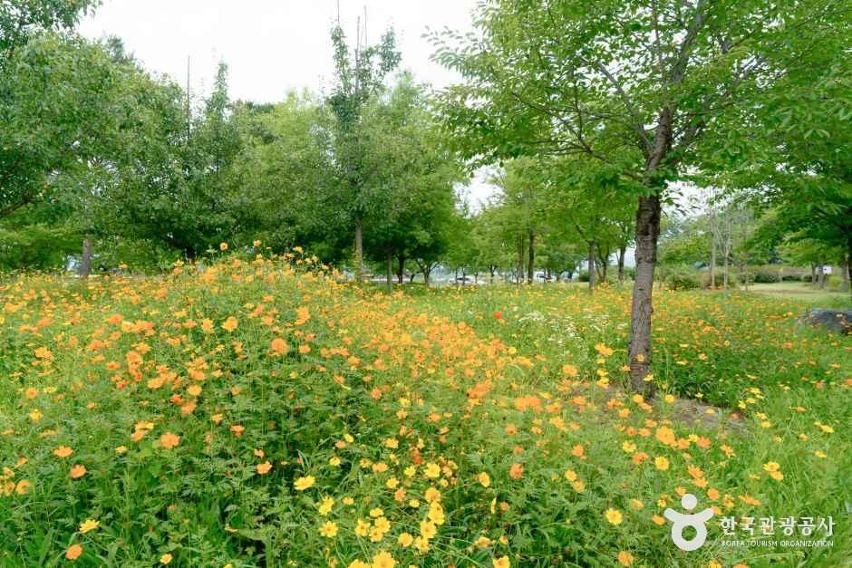 의령역사문화테마파크 여행 추천 - 메고지고