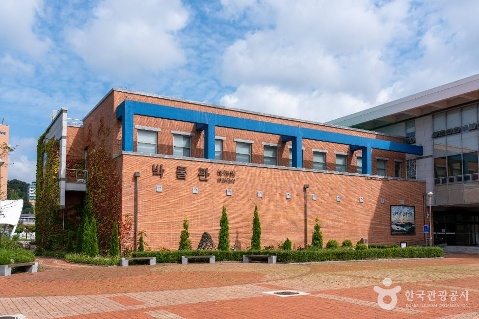 국립군산대학교 박물관 여행 추천 - 메고지고 국립군산대학교 박물관 여행 추천 - 메고지고