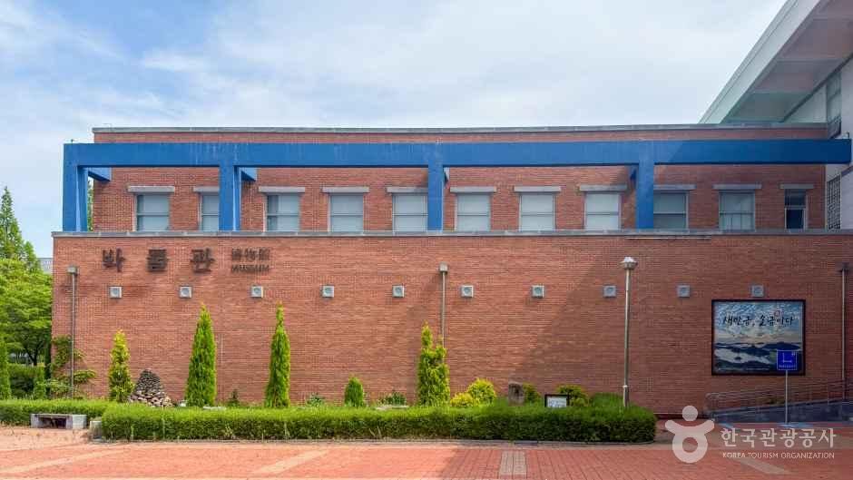 국립군산대학교 박물관 여행 추천 - 메고지고 국립군산대학교 박물관 여행 추천 - 메고지고