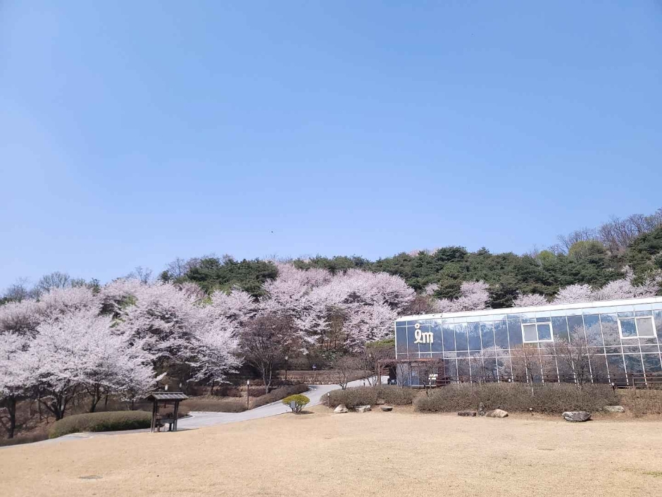 철박물관 여행 추천 - 메고지고