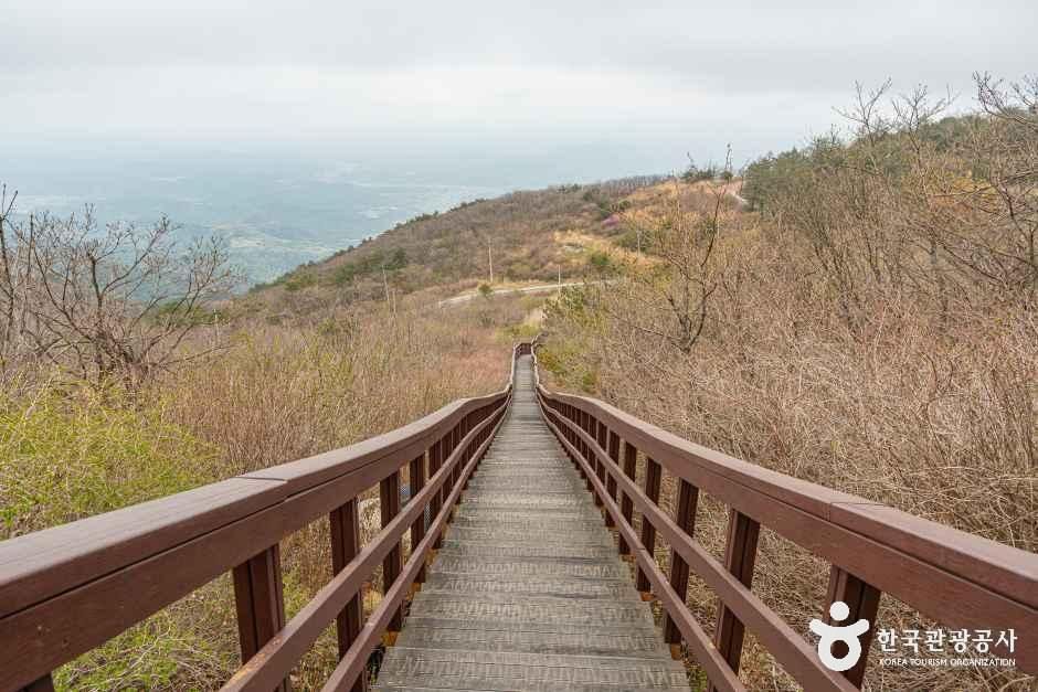 팔공산국립공원(군위군) 여행 추천 - 메고지고