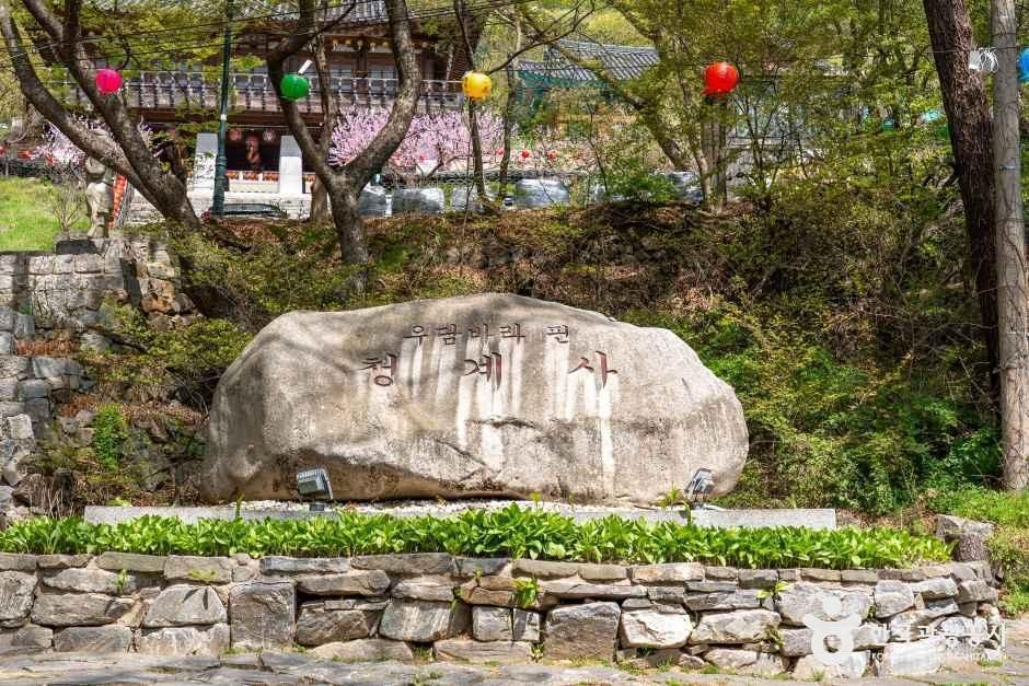 청계사(의왕) 여행 추천 - 메고지고 청계사(의왕) 여행 추천 - 메고지고