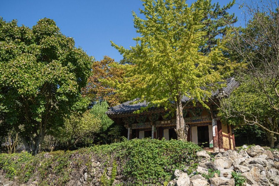 진도 운림산방 여행 추천 - 메고지고