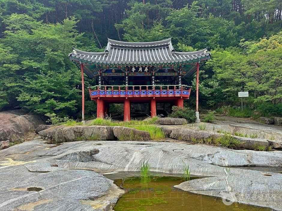 농월정 국민관광지 여행 추천 - 메고지고 농월정 국민관광지 여행 추천 - 메고지고