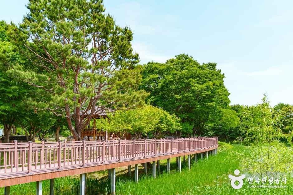 바람새마을 소풍정원 여행 추천 - 메고지고 바람새마을 소풍정원 여행 추천 - 메고지고