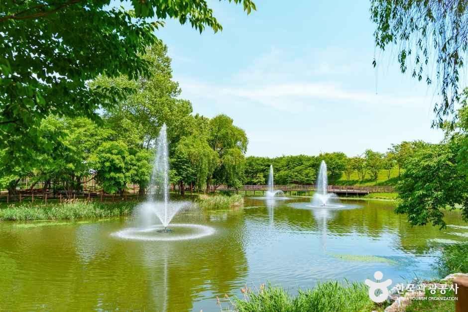 바람새마을 소풍정원 여행 추천 - 메고지고 바람새마을 소풍정원 여행 추천 - 메고지고