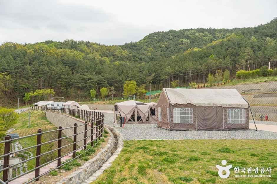 위천수변 테마파크 여행 추천 - 메고지고 위천수변 테마파크 여행 추천 - 메고지고