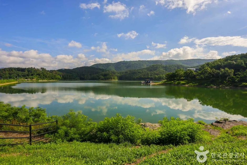 단산 저수지 여행 추천 - 메고지고 단산 저수지 여행 추천 - 메고지고