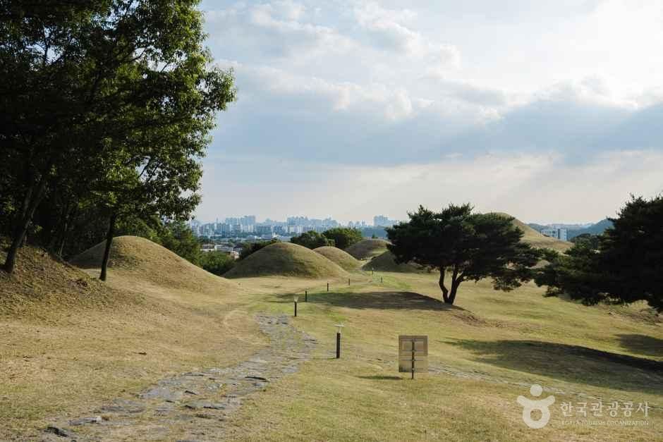 대구 불로동 고분군 여행 추천 - 메고지고