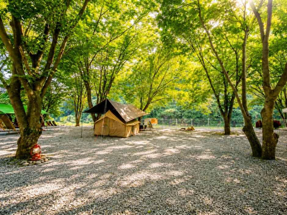 중바위캠핑장 여행 추천 - 메고지고