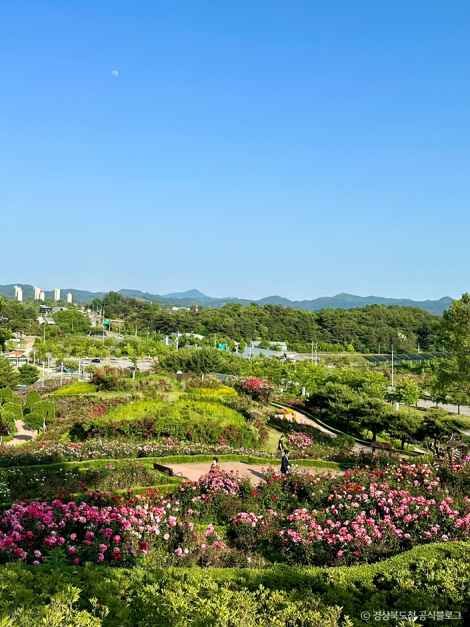 함창명주테마파크공원 여행 추천 - 메고지고