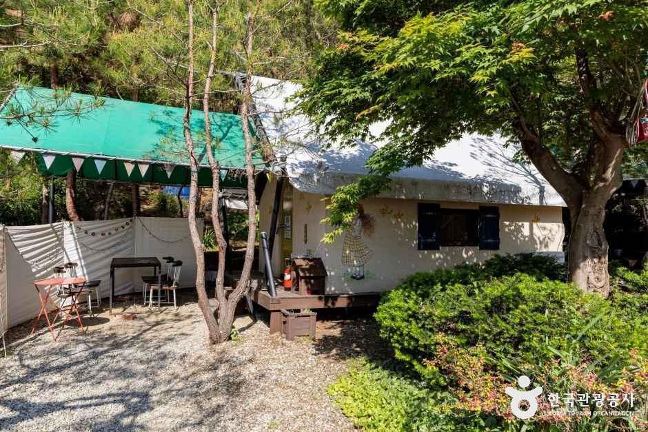 충주커피박물관 글램핑카라반펜션 여행 추천 - 메고지고