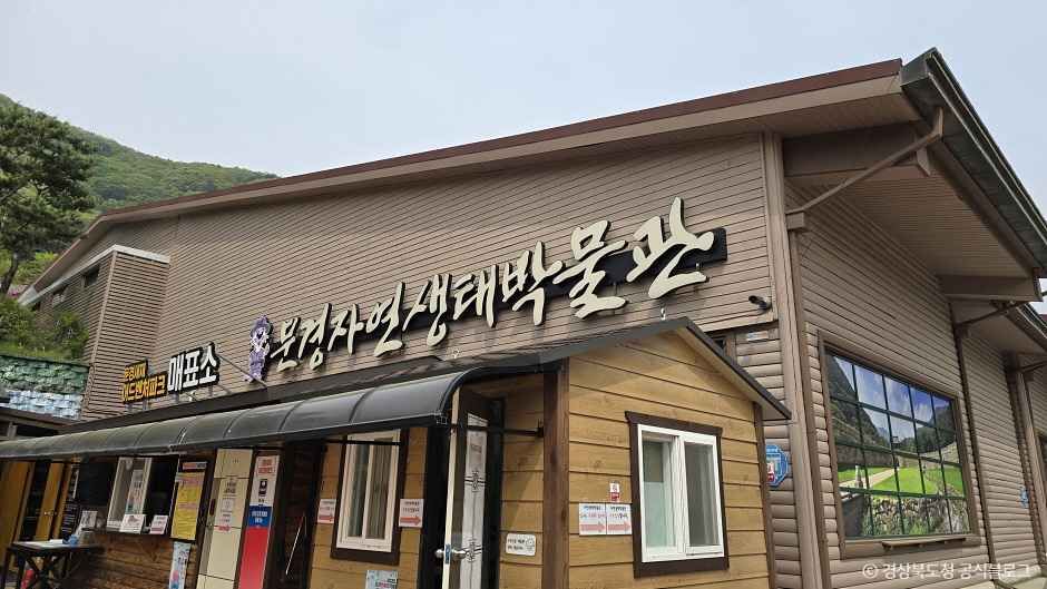문경자연생태박물관 여행 추천 - 메고지고 문경자연생태박물관 여행 추천 - 메고지고
