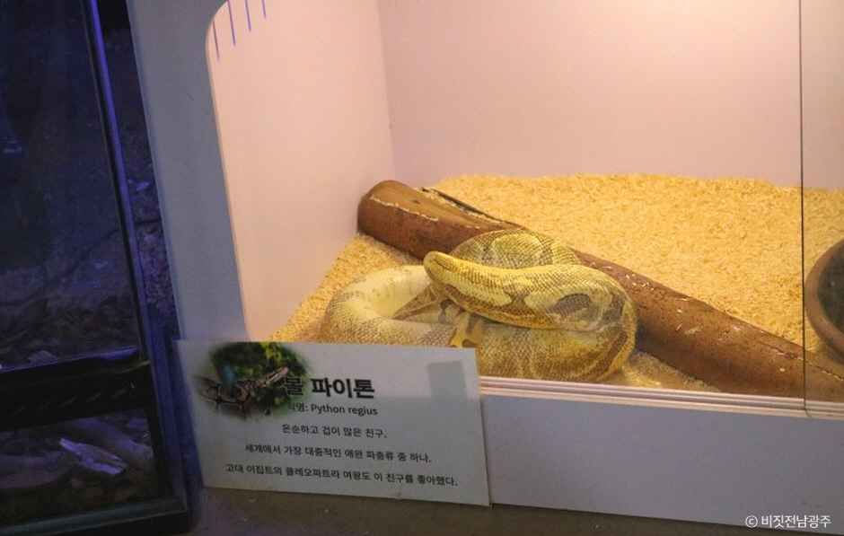 광주벅스랜드 여행 추천 - 메고지고