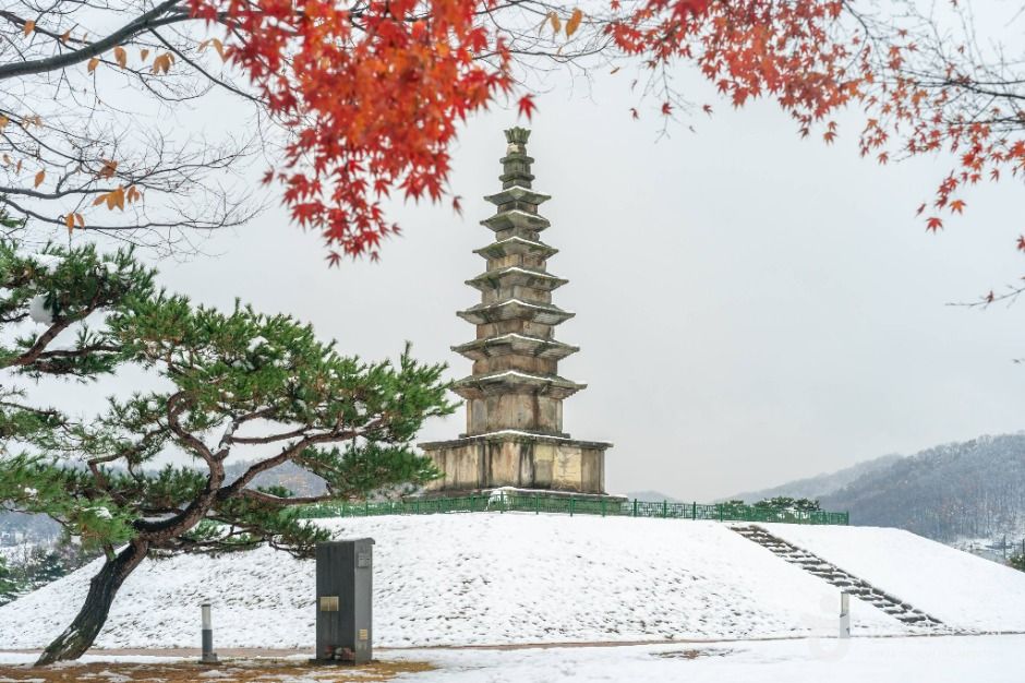 충주 탑평리 칠층석탑 여행 추천 - 메고지고