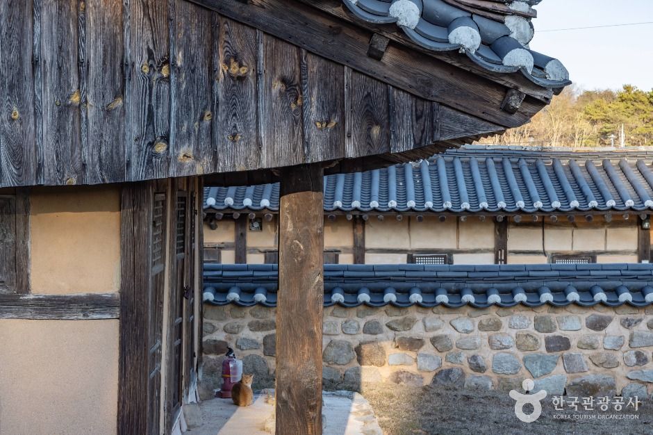 안동 유일재 종택 여행 추천 - 메고지고 안동 유일재 종택 여행 추천 - 메고지고