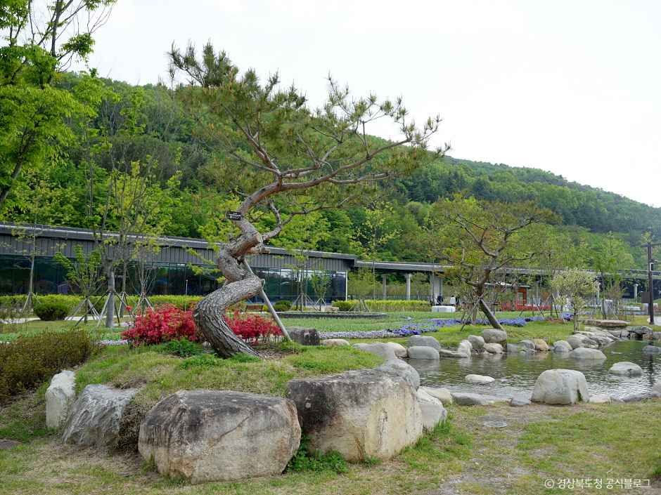 라원 여행 추천 - 메고지고 라원 여행 추천 - 메고지고