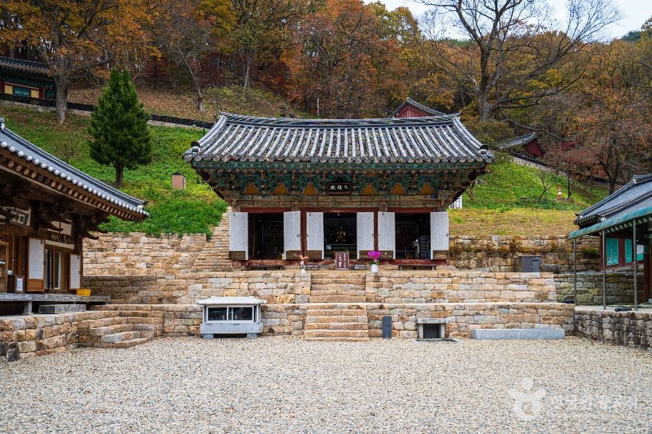 장곡사(청양) 여행 추천 - 메고지고 장곡사(청양) 여행 추천 - 메고지고