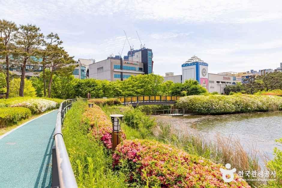 오창호수공원 여행 추천 - 메고지고 오창호수공원 여행 추천 - 메고지고