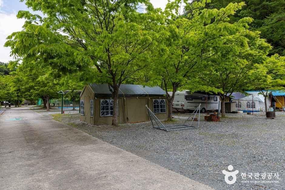 스카이운학오토캠핑장 여행 추천 - 메고지고 스카이운학오토캠핑장 여행 추천 - 메고지고