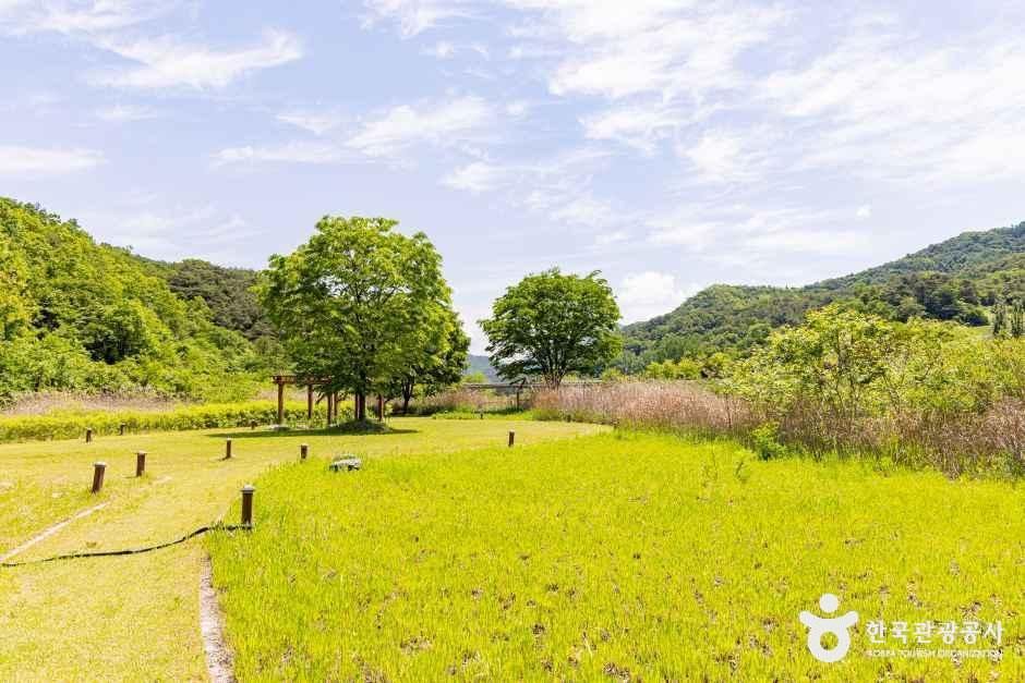 옥순봉생태공원 여행 추천 - 메고지고 옥순봉생태공원 여행 추천 - 메고지고