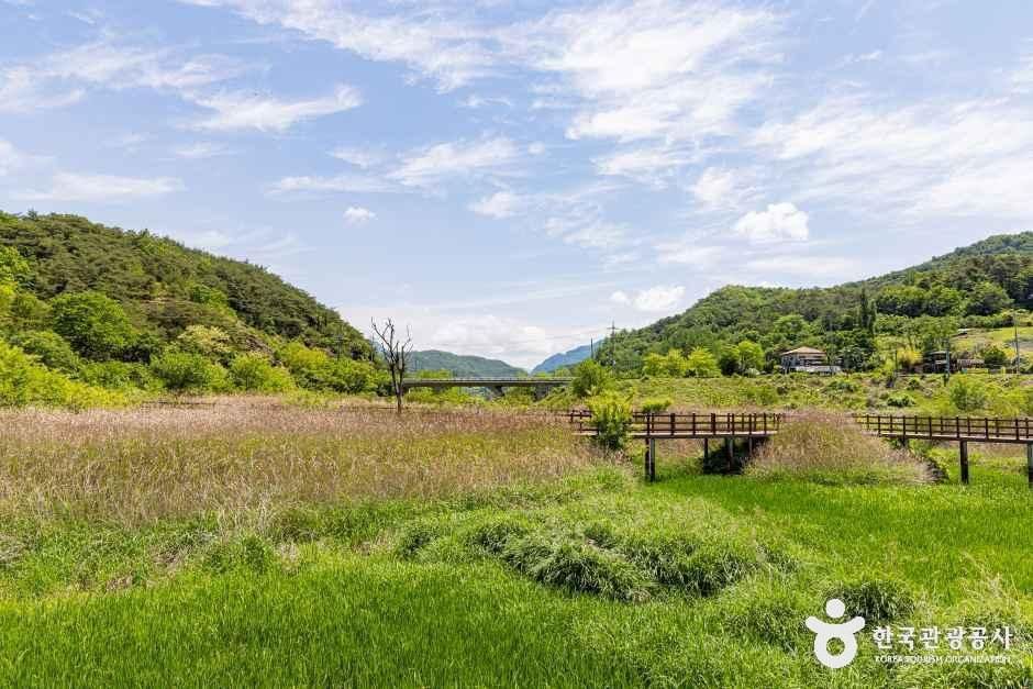 옥순봉생태공원 여행 추천 - 메고지고 옥순봉생태공원 여행 추천 - 메고지고