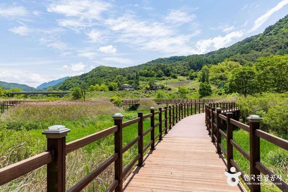 옥순봉생태공원 여행 추천 - 메고지고 옥순봉생태공원 여행 추천 - 메고지고
