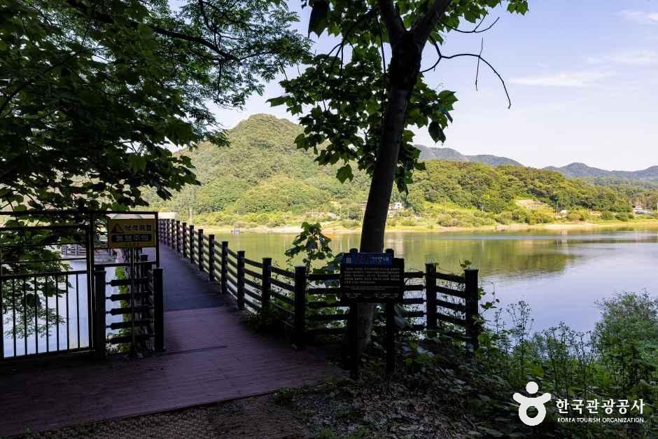 향수호수길 여행 추천 - 메고지고 향수호수길 여행 추천 - 메고지고