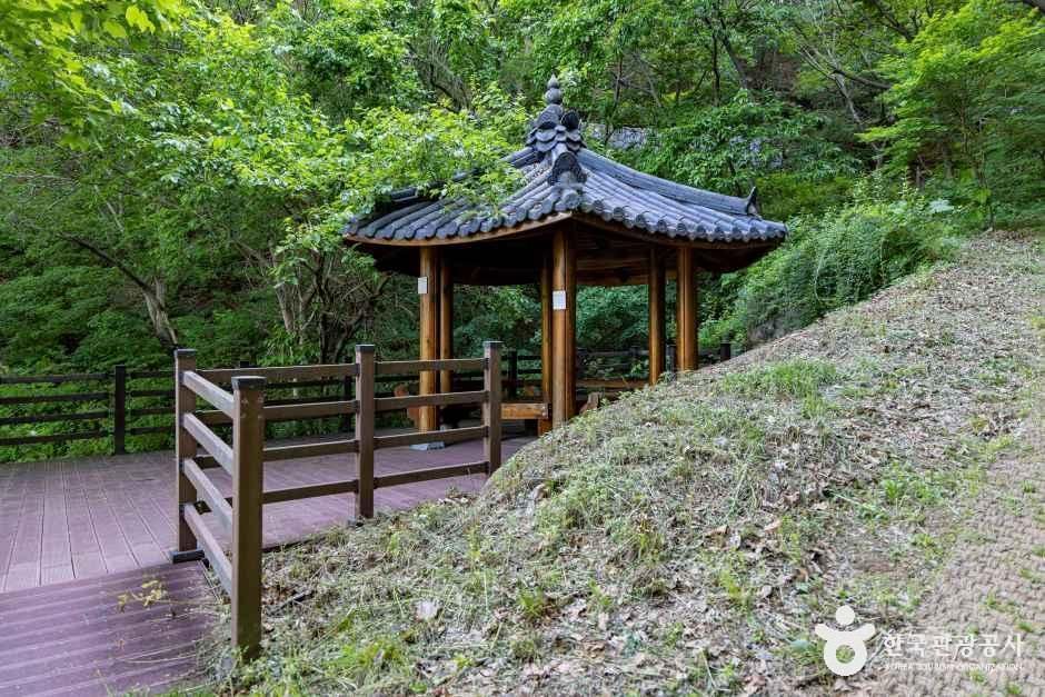 향수호수길 여행 추천 - 메고지고 향수호수길 여행 추천 - 메고지고