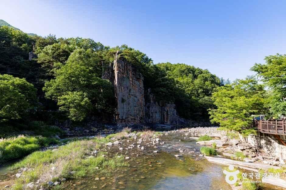 단양 사인암 여행 추천 - 메고지고 단양 사인암 여행 추천 - 메고지고
