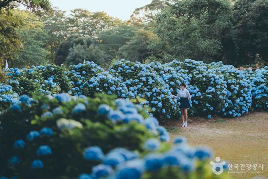 혼인지 여행 추천 - 메고지고 혼인지 여행 추천 - 메고지고