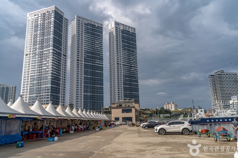 동명항오징어난전 여행 추천 - 메고지고 동명항오징어난전 여행 추천 - 메고지고