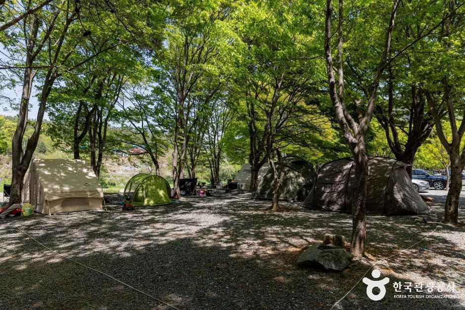 써니밸리캠핑장 여행 추천 - 메고지고