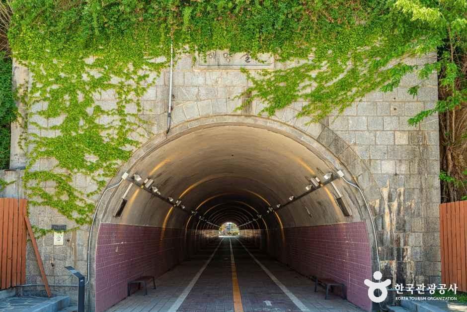 군산 해망굴 여행 추천 - 메고지고 군산 해망굴 여행 추천 - 메고지고