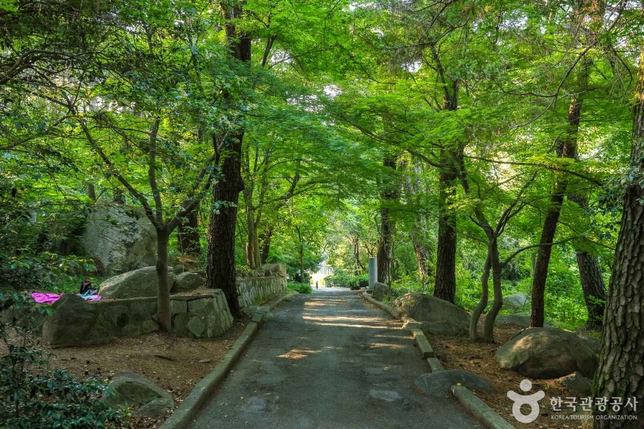 금강공원 여행 추천 - 메고지고 금강공원 여행 추천 - 메고지고
