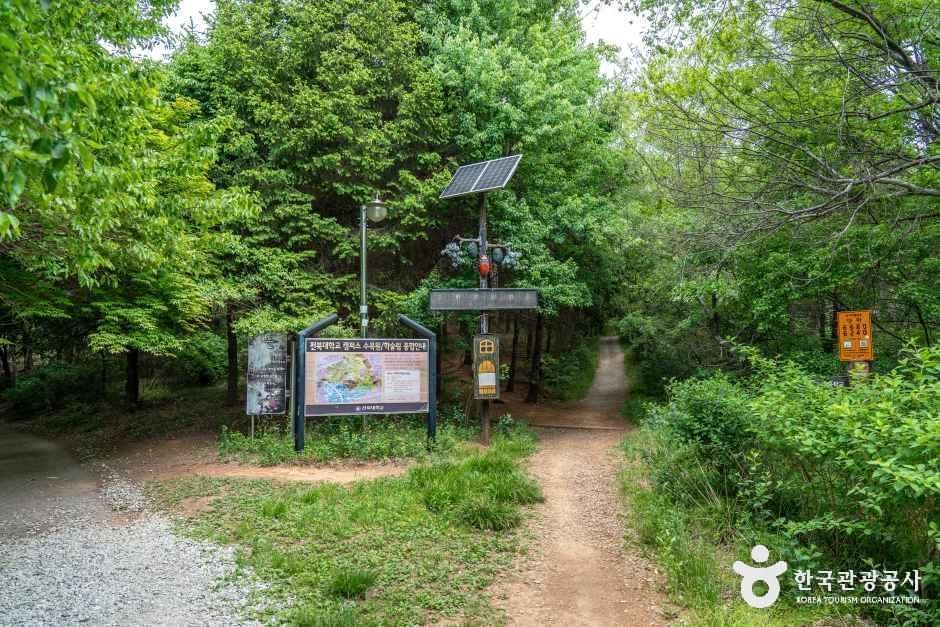 건지산 여행 추천 - 메고지고 건지산 여행 추천 - 메고지고