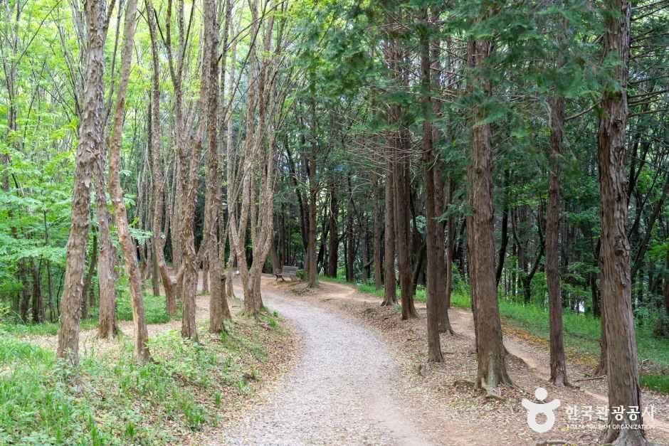 건지산 여행 추천 - 메고지고 건지산 여행 추천 - 메고지고