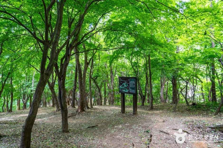 건지산 여행 추천 - 메고지고 건지산 여행 추천 - 메고지고