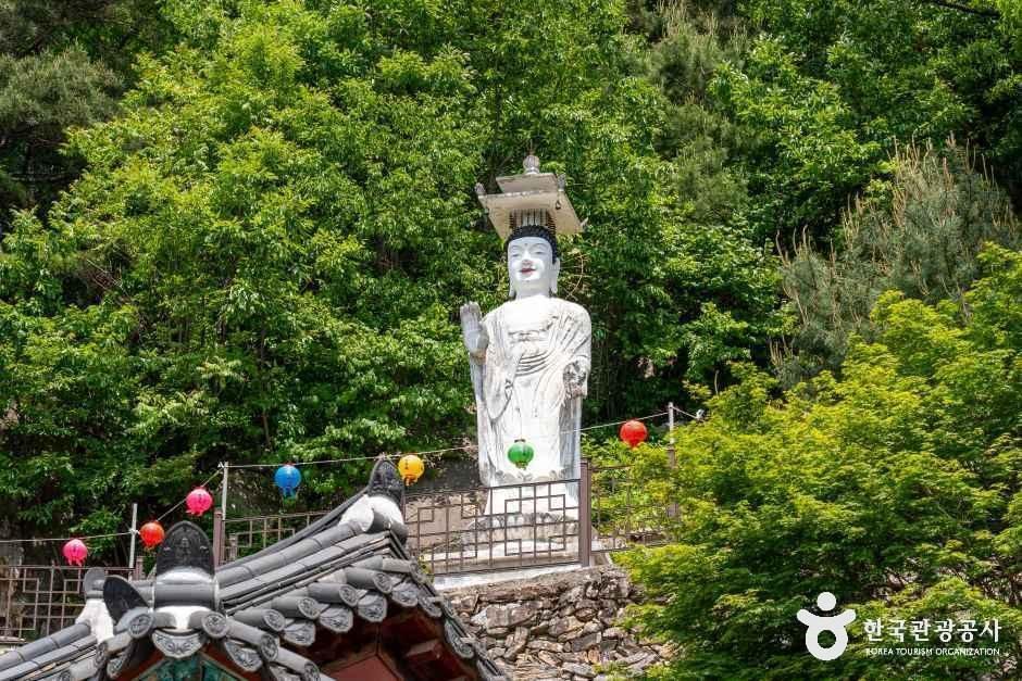 동고사(전주) 여행 추천 - 메고지고
