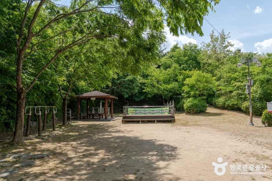 아중체련공원 여행 추천 - 메고지고 아중체련공원 여행 추천 - 메고지고