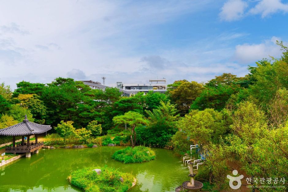 [DMZ 평화의 길] 제3땅굴/도라전망대 코스 여행 추천 - 메고지고