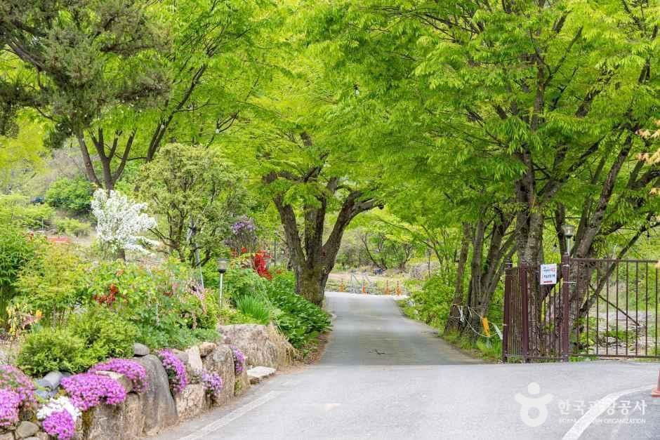 괴산 도명산 오토캠핑장 여행 추천 - 메고지고 괴산 도명산 오토캠핑장 여행 추천 - 메고지고
