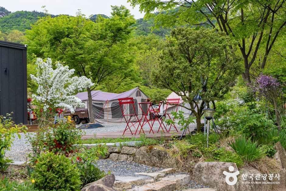괴산 도명산 오토캠핑장 여행 추천 - 메고지고 괴산 도명산 오토캠핑장 여행 추천 - 메고지고