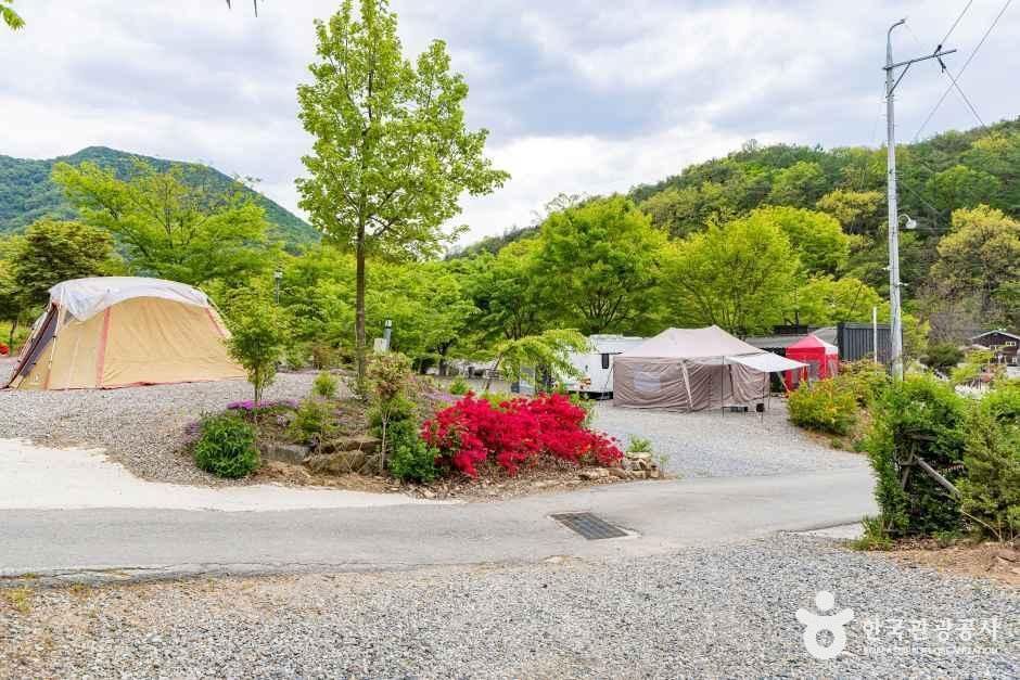 괴산 도명산 오토캠핑장 여행 추천 - 메고지고 괴산 도명산 오토캠핑장 여행 추천 - 메고지고