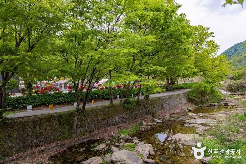 괴산 도명산 오토캠핑장 여행 추천 - 메고지고 괴산 도명산 오토캠핑장 여행 추천 - 메고지고
