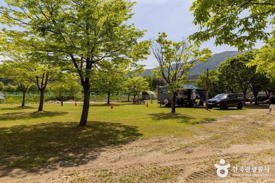 시냇가 캠핑장 여행 추천 - 메고지고 시냇가 캠핑장 여행 추천 - 메고지고